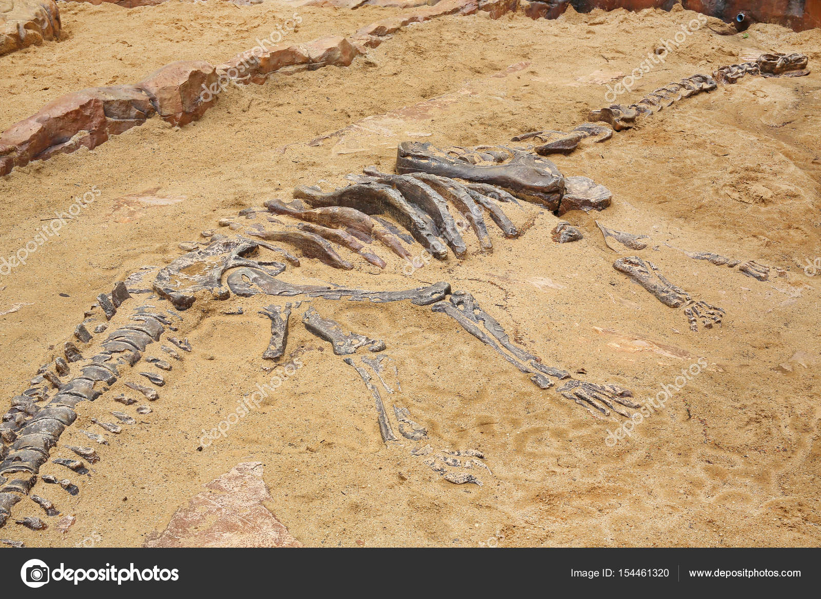 Replica dinosaur fossil on the sand ground â Stock Photo © civic_dm@hotmail.com #154461320