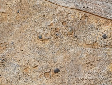 Yineleme fosil duvardaki