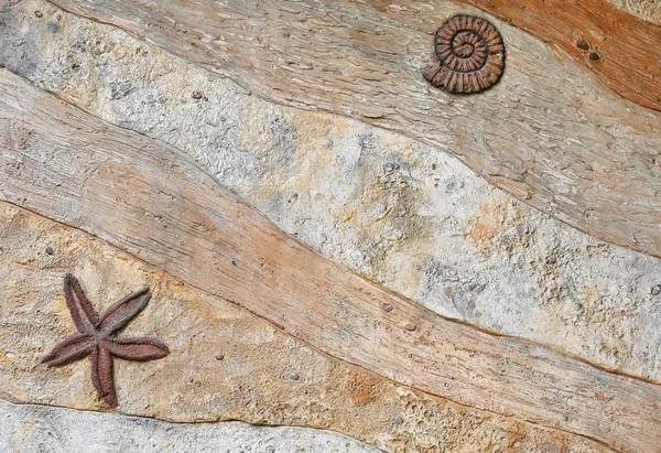 Replik eines Fossils an der Wand — Stockfoto