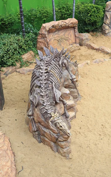 dinosaur fossils in the ground