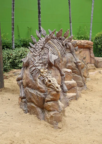 dinosaur fossils in the ground