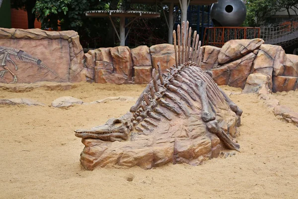 dinosaur fossils in the ground