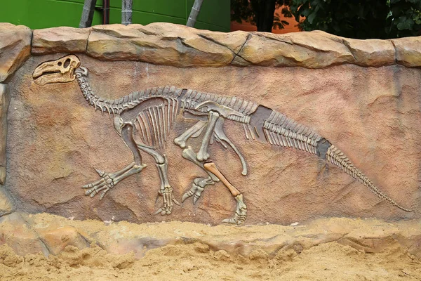 Modelo fóssil de dinossauro na parede — Fotografia de Stock