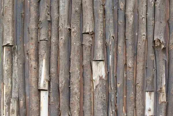 Wand aus Baumstämmen. Holzstruktur — Stockfoto