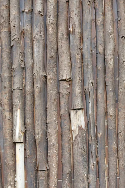 Stěna z protokolů. Texturu dřeva — Stock fotografie