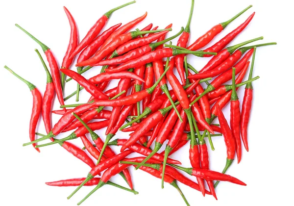 Piments rouges sur fond blanc — Photo