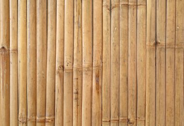 bir bambu çit arka plan