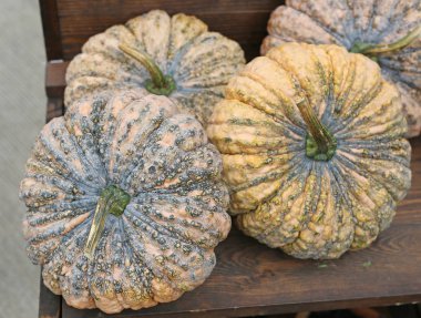 Yeşil kabak, Asya Sebze