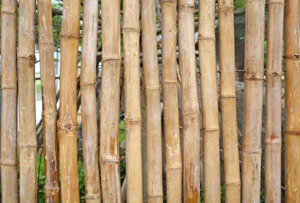 竹フェンス背景 — ストック写真