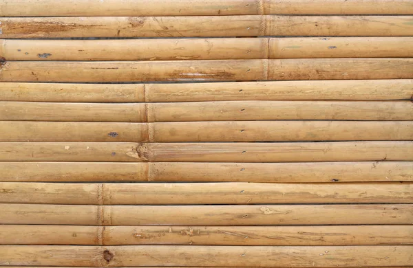 En bambu staket bakgrund — Stockfoto