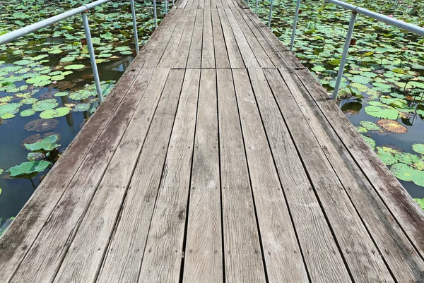 Jembatan kayu di bunga bakung — Stok Foto