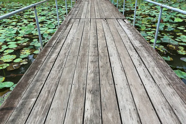 Wood bridge in water lily — Stock Photo, Image