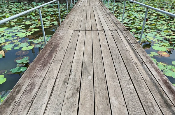 Jembatan kayu di bunga bakung — Stok Foto