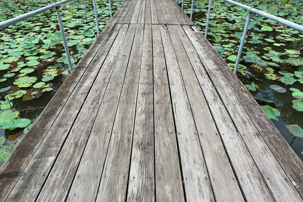 Puente de madera en lirio de agua — Foto de Stock