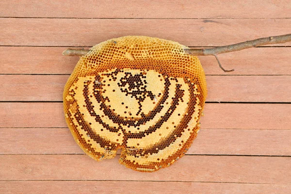 Honingraat close-up op de houten plank, bovenaanzicht — Stockfoto