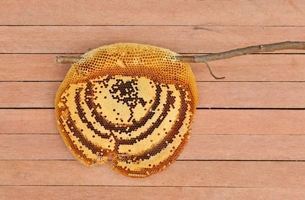 Honingraat close-up op de houten plank, bovenaanzicht — Stockfoto