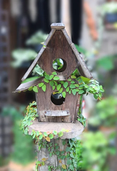 Houten vogel huizen bedekt met klimop — Stockfoto