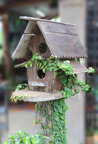 Деревянные птичьи домики покрытые плющом — стоковое фото