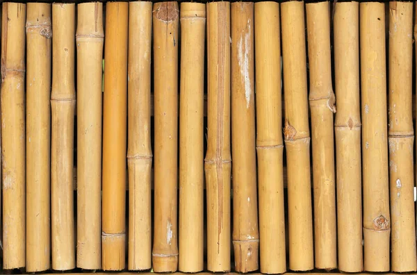 Golden bamboo fence background — Stock Photo, Image