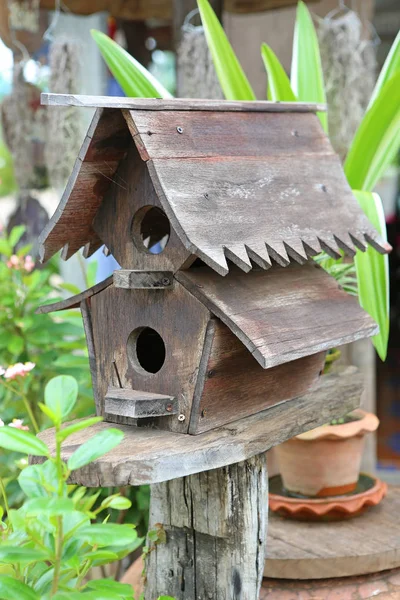 ツタに覆われた木製の鳥の家 — ストック写真