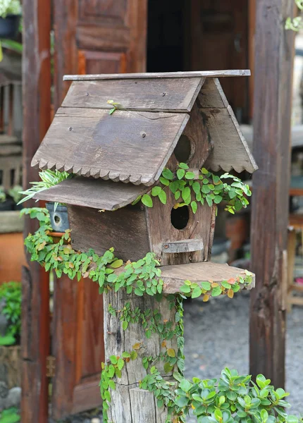 ツタに覆われた木製の鳥の家 — ストック写真