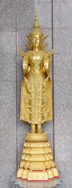 Buda resim Tapınak, Tayland duran güzel