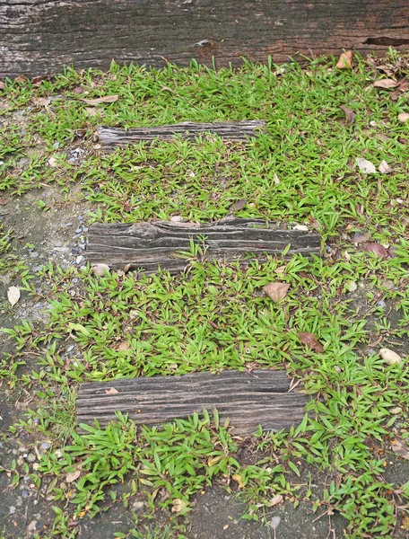 Passo de madeira com grama no jardim — Fotografia de Stock