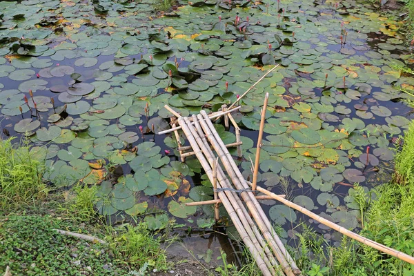 蓮の池と古い小さな竹木製橋 — ストック写真