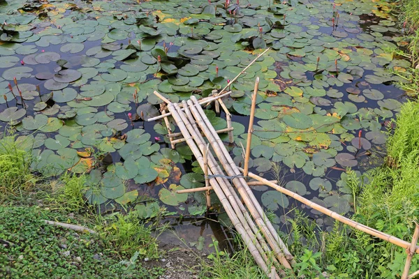 Estanque de loto y viejo puente de madera de bambú pequeño — Foto de Stock