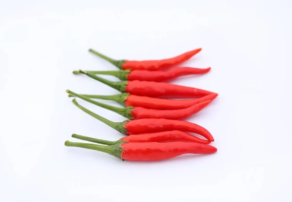 Piments rouges sur fond blanc — Photo