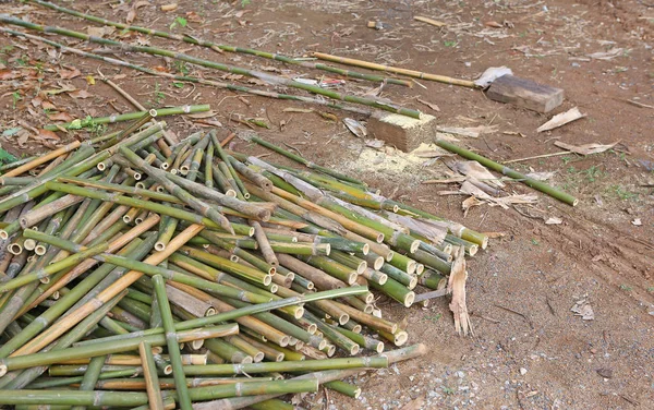 Pilha de bambu corte colocar no chão . — Fotografia de Stock