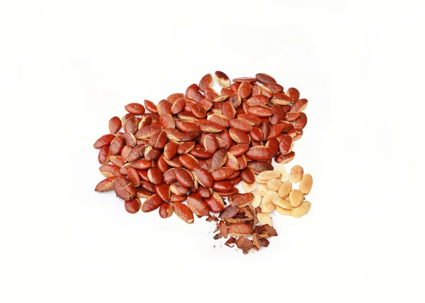 Roasted kayu seeds on white background (Irvingia malayana benn) — Stock Photo, Image
