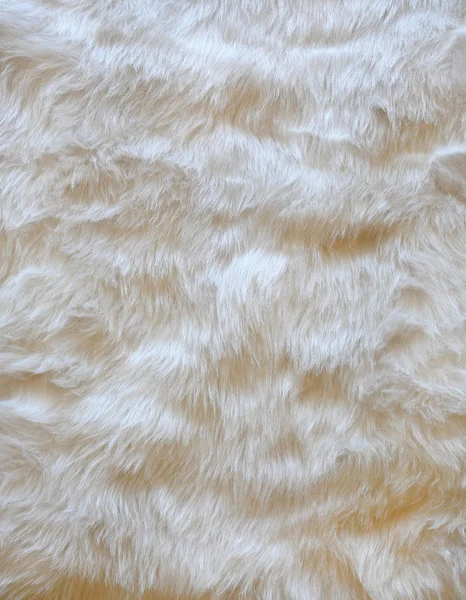 White fur background. Close up — Stock Photo, Image