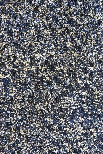 Elegância cor cinza tapete textura — Fotografia de Stock