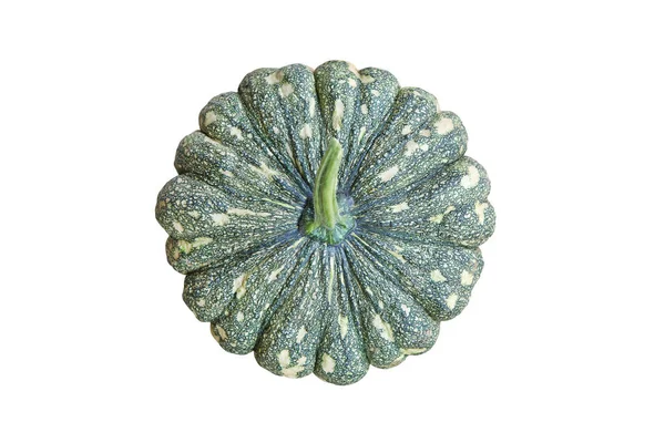 Top view green pumpkin isolated on white background — Stock Photo, Image