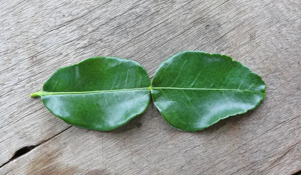 Liść bergamotki (kaffir liście limonki) na drewno — Zdjęcie stockowe