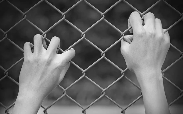 Hand touching iron mesh in black and white tone — Stock Photo, Image