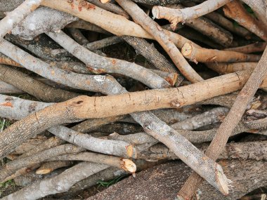 Yakacak odun sopa arka plan