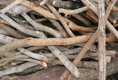 Yakacak odun sopa arka plan