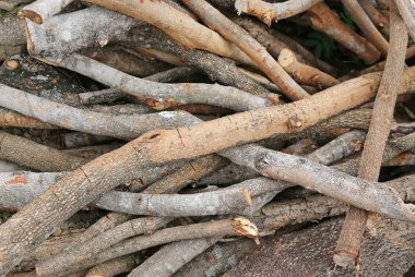 Yakacak odun sopa arka plan