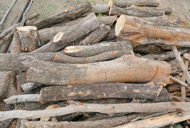 Yakacak odun sopa arka plan