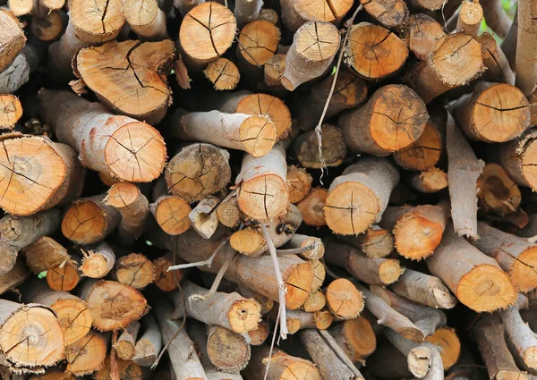 Haufen aus geschnittenem Baumstamm — Stockfoto