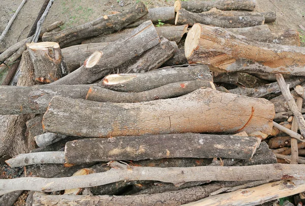 Yakacak odun sopa arka plan