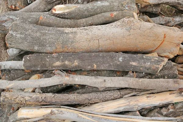 Velká hromada suché dřevo — Stock fotografie