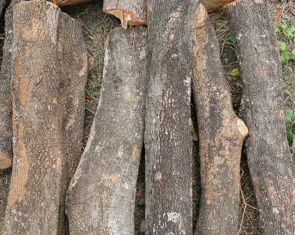 Velká hromada suché dřevo — Stock fotografie