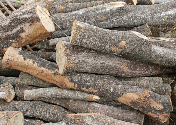 Ein großer Haufen trockenen Brennholzes — Stockfoto