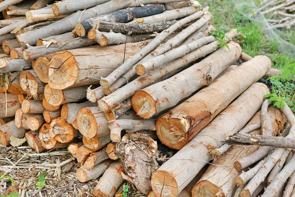 Yakacak odun sopa arka plan