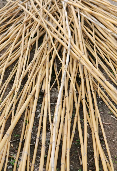 Mucchio di bastoncini di bambù, Mucchio di bambù texture di sfondo astratto — Foto Stock