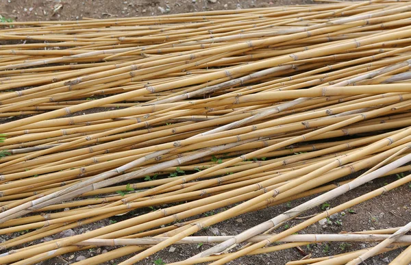 Hromadu bambusovými tyčinkami, hromadu bambus abstraktní pozadí textury — Stock fotografie