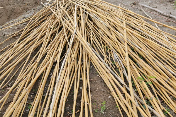 Yığın bambu sopalarla, bambu arka plan doku yığını